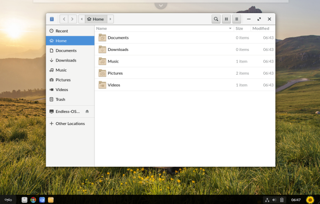 Файловый менеджер, открытый на рабочем столе Endless OS