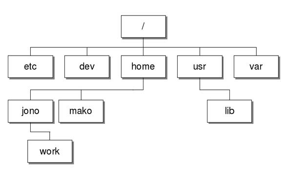 файловая система linux