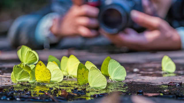 фотографии-причины, перспективы