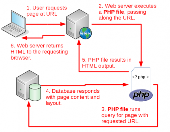 как работает cms, показывает url