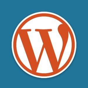 пользовательские типы сообщений в WordPress