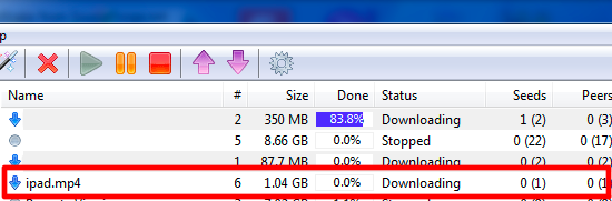 11_Downloading_torrent.png