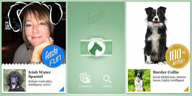 Microsoft Apps What Dog Fetch