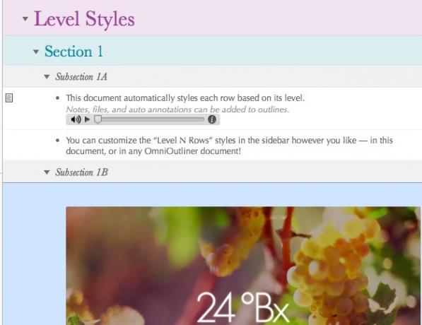 OmniOutliner_notes