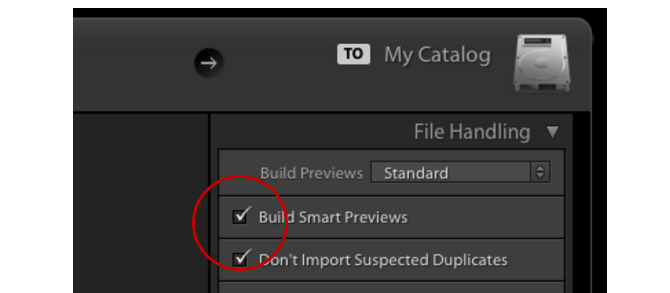 Lightroom Smart превью