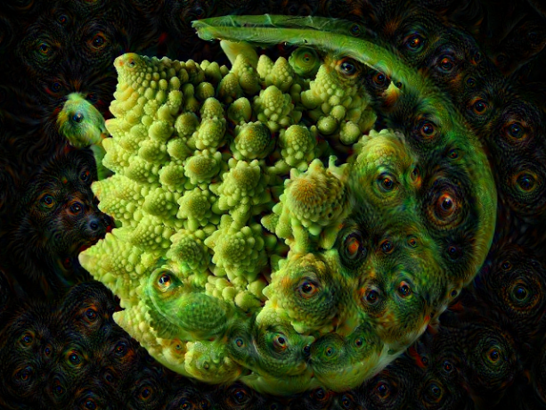 fractalbrocolli