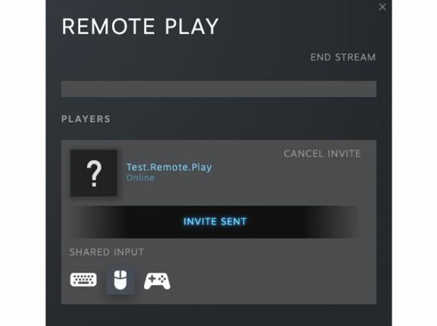 Пример возможности Remote Play управлять взаимодействиями вашего друга