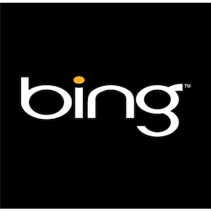 Bing представляет поиск по типу - работает ли он? [Новости] Bing 1