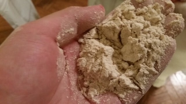 soylentpowderinhand