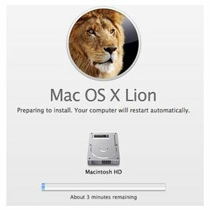 Возникли проблемы при установке OS X Lion? Приводы большого пальца приносят новую надежду [Новости] appleinstall1