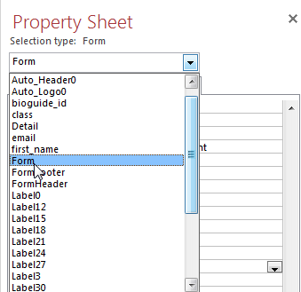 Access 2013 Property Sheet